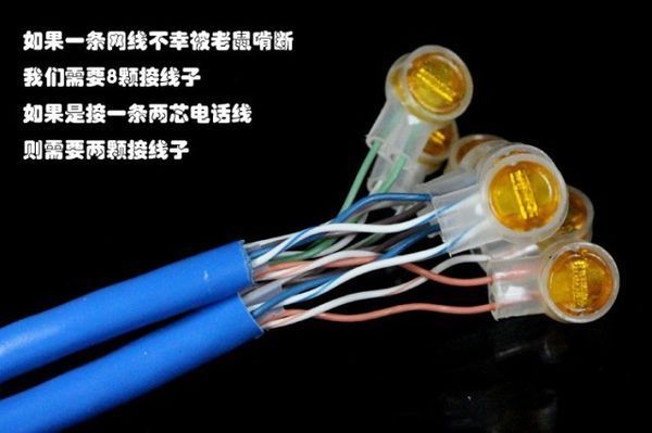 網(wǎng)線接駁 選 K1 還是 K2 接線子？常見(jiàn)場(chǎng)景與選擇指南